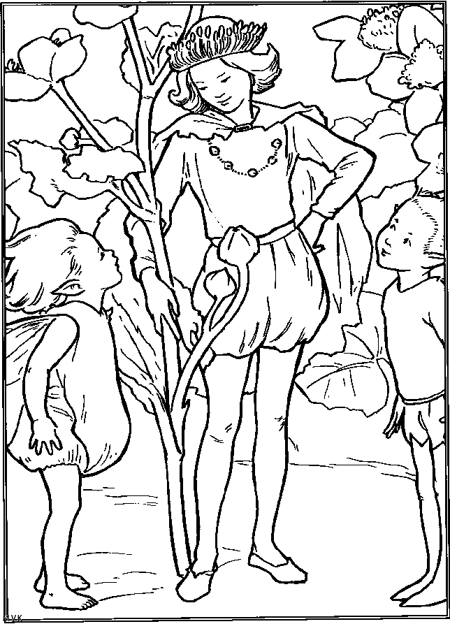 elves029